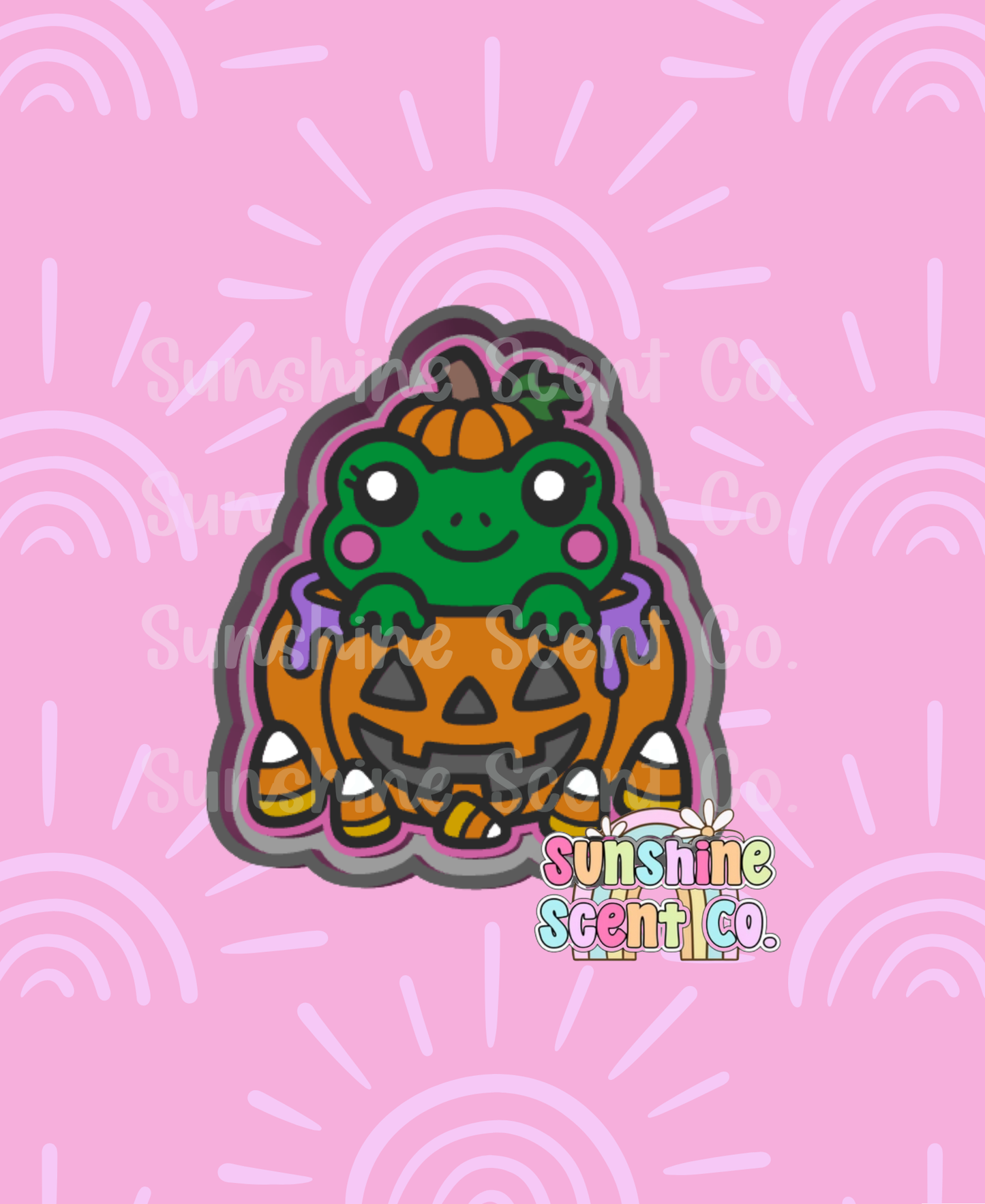 Frog in Pumpkin Freshie Mold