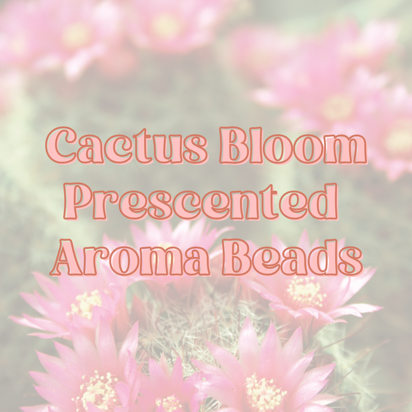 Cactus Bloom Prescented Aroma Beads