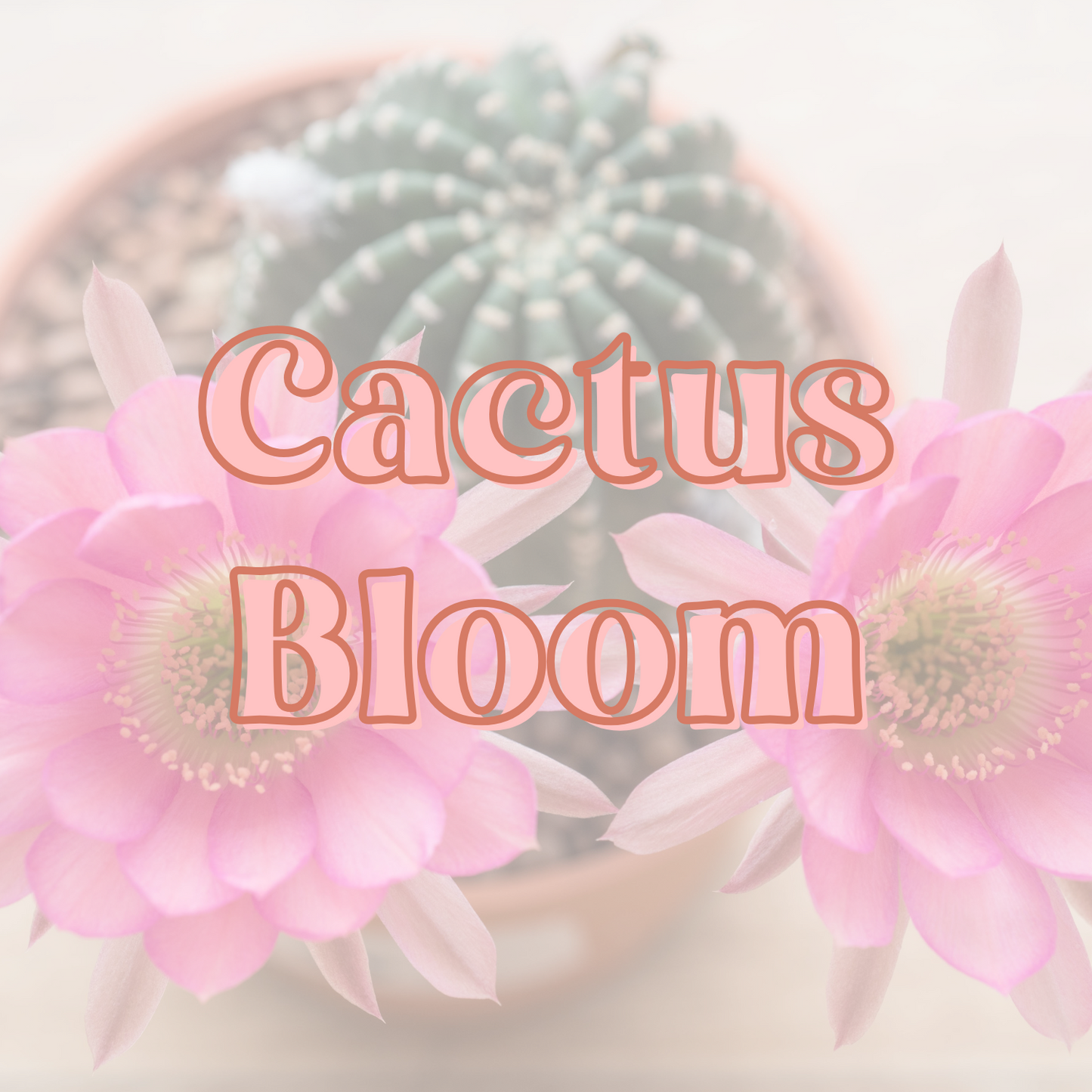 Cactus Bloom Fragrance Oil