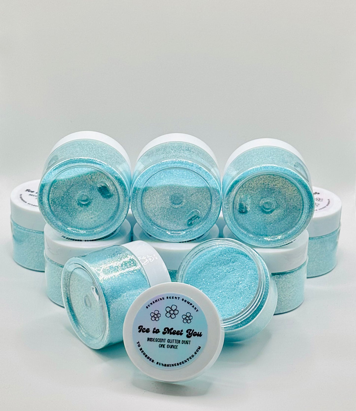 Ice to Meet You Glitter Dust