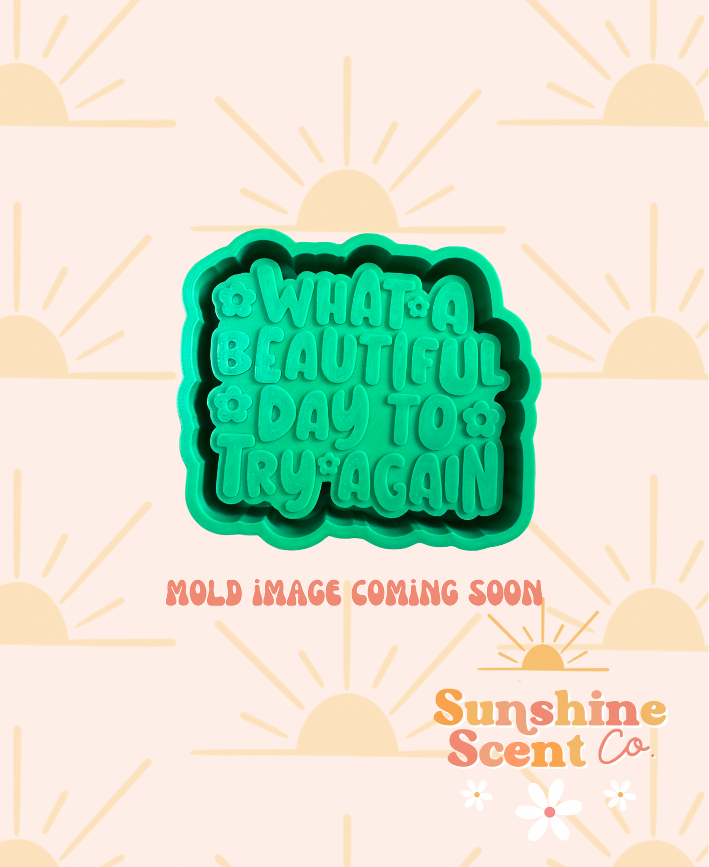 What a beautiful day to try again Silicone Freshie Mold