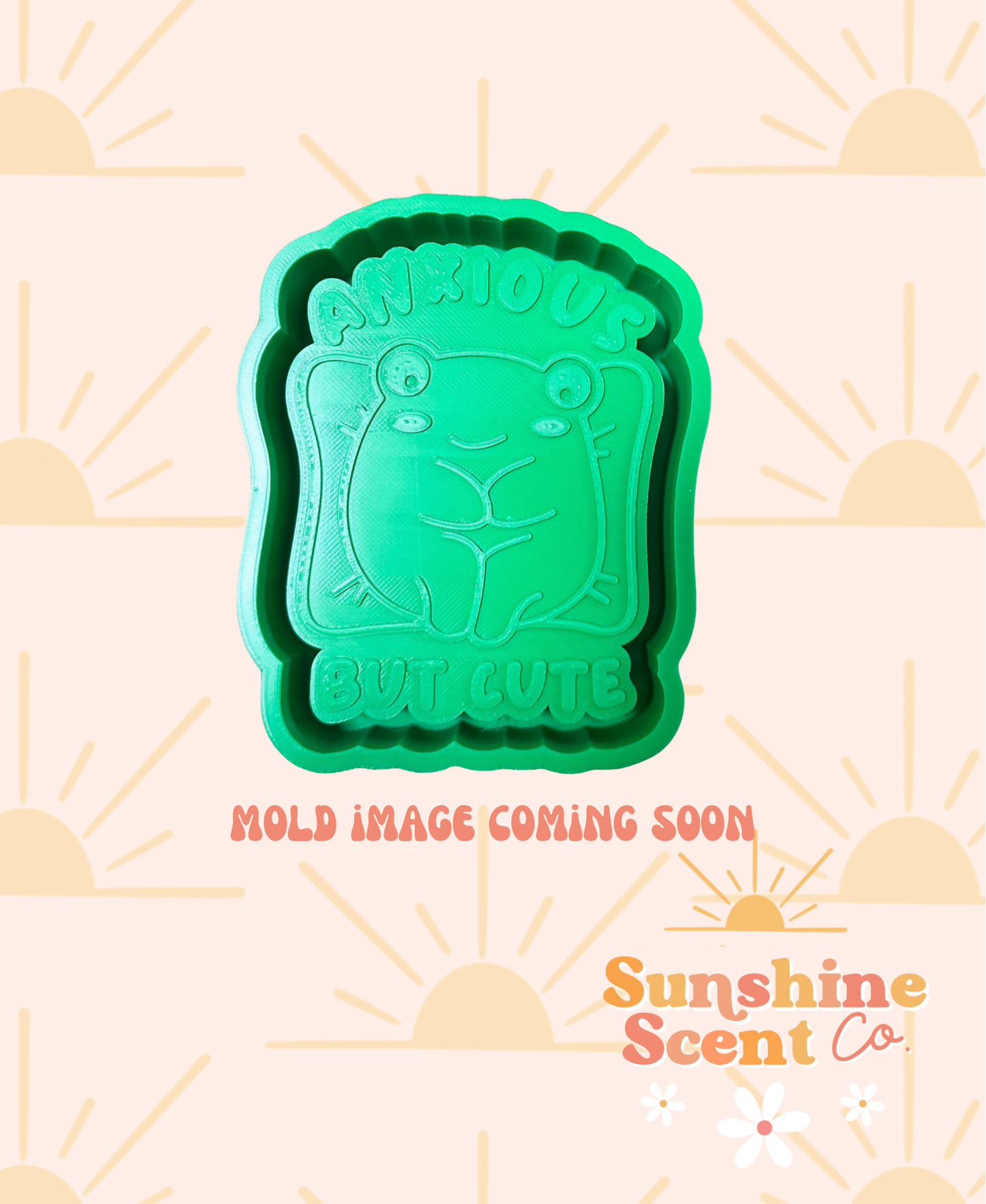 Anxious but Cute Frog Silicone Freshie Mold