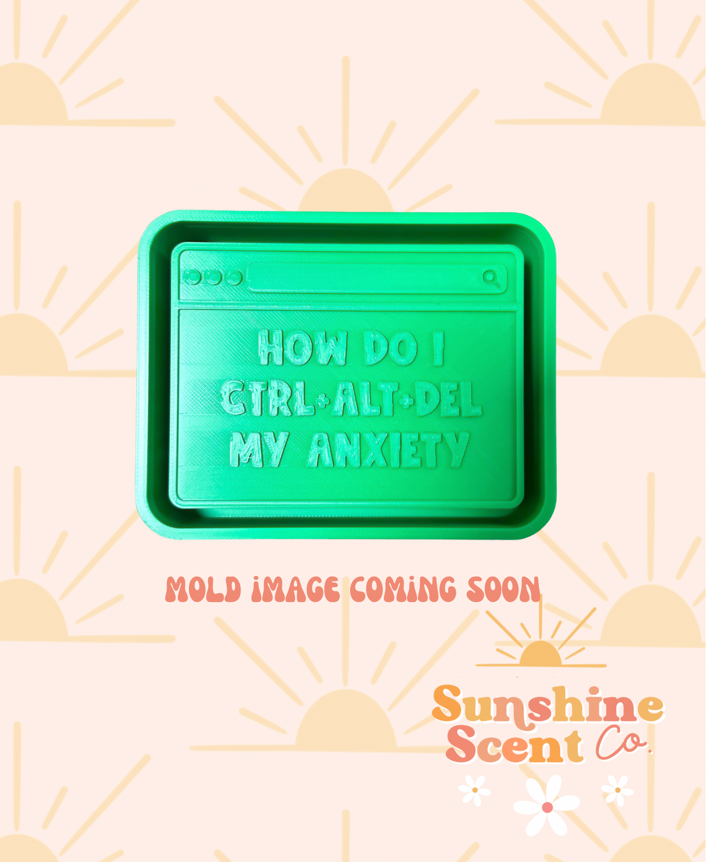 CTRL ALT DELETE My Anxiety Silicone Freshie Mold