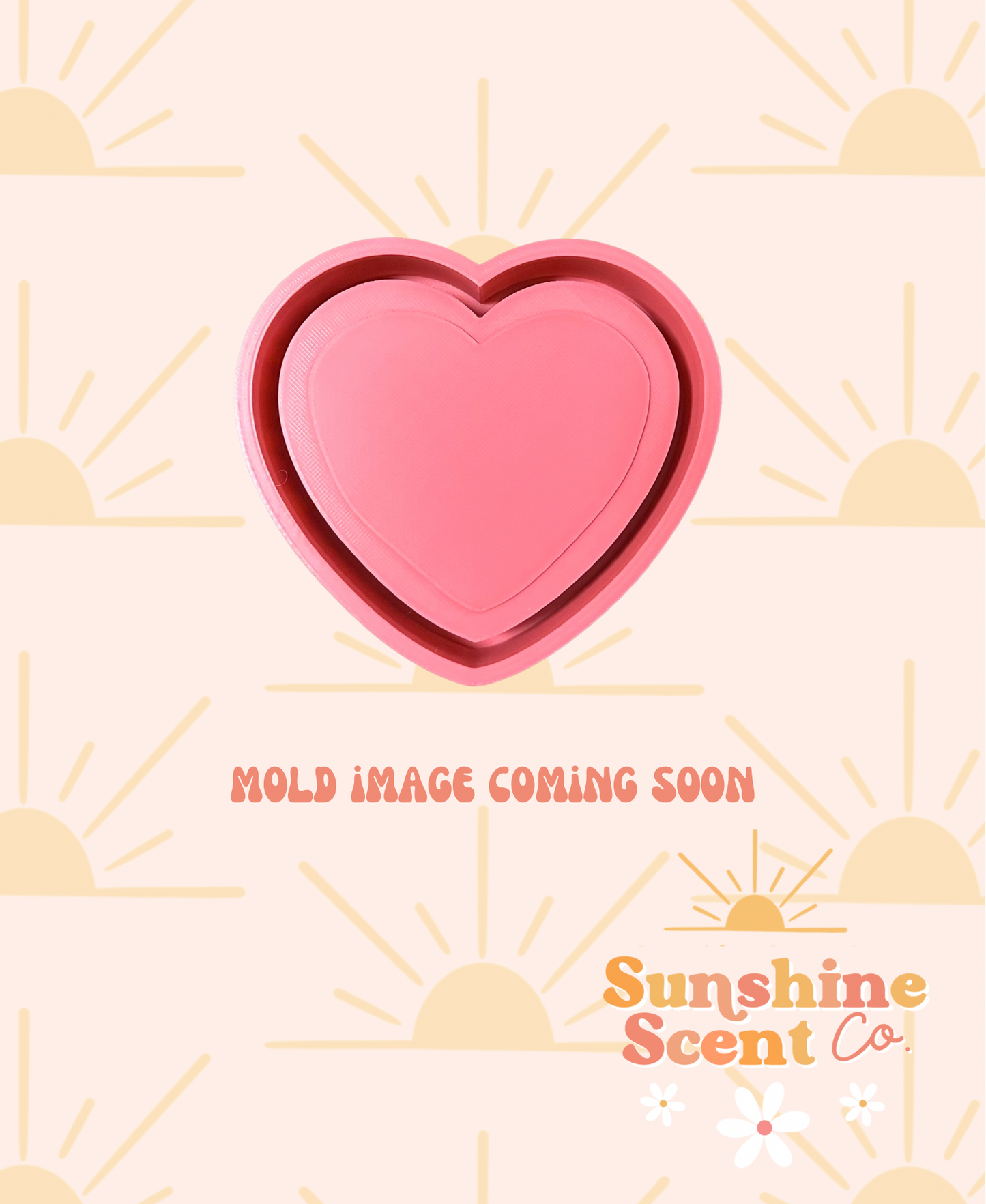 Heart Sugar Cookie Silicone Freshie Mold