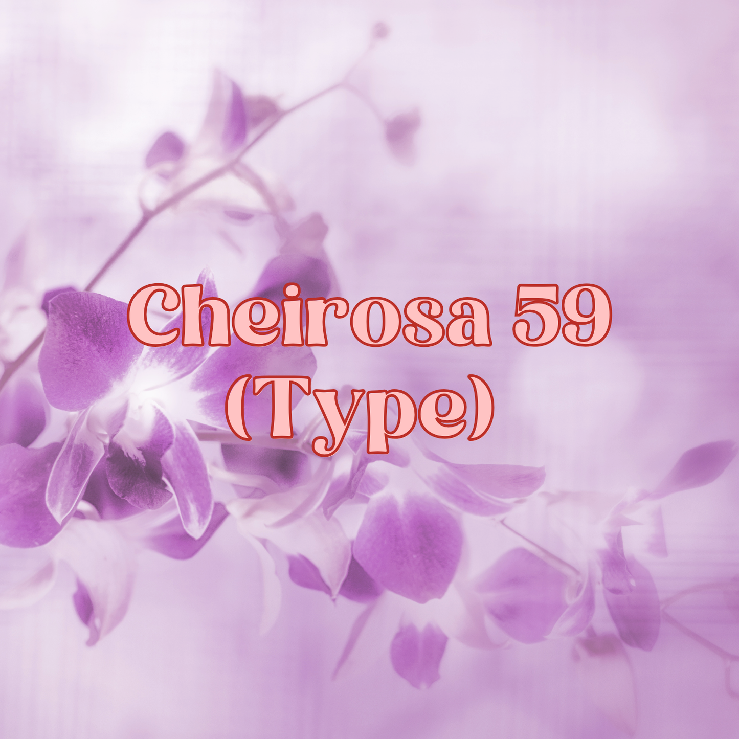 Cheirosa 59 (Type) Fragrance Oil