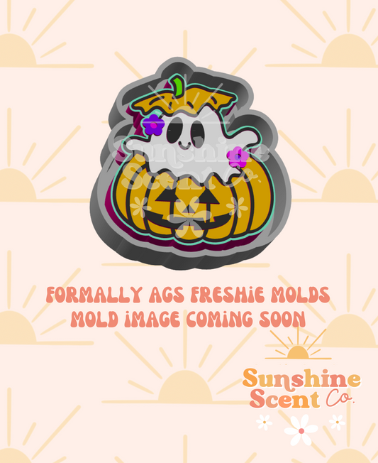 Ghost in Pumpkin Freshie Mold