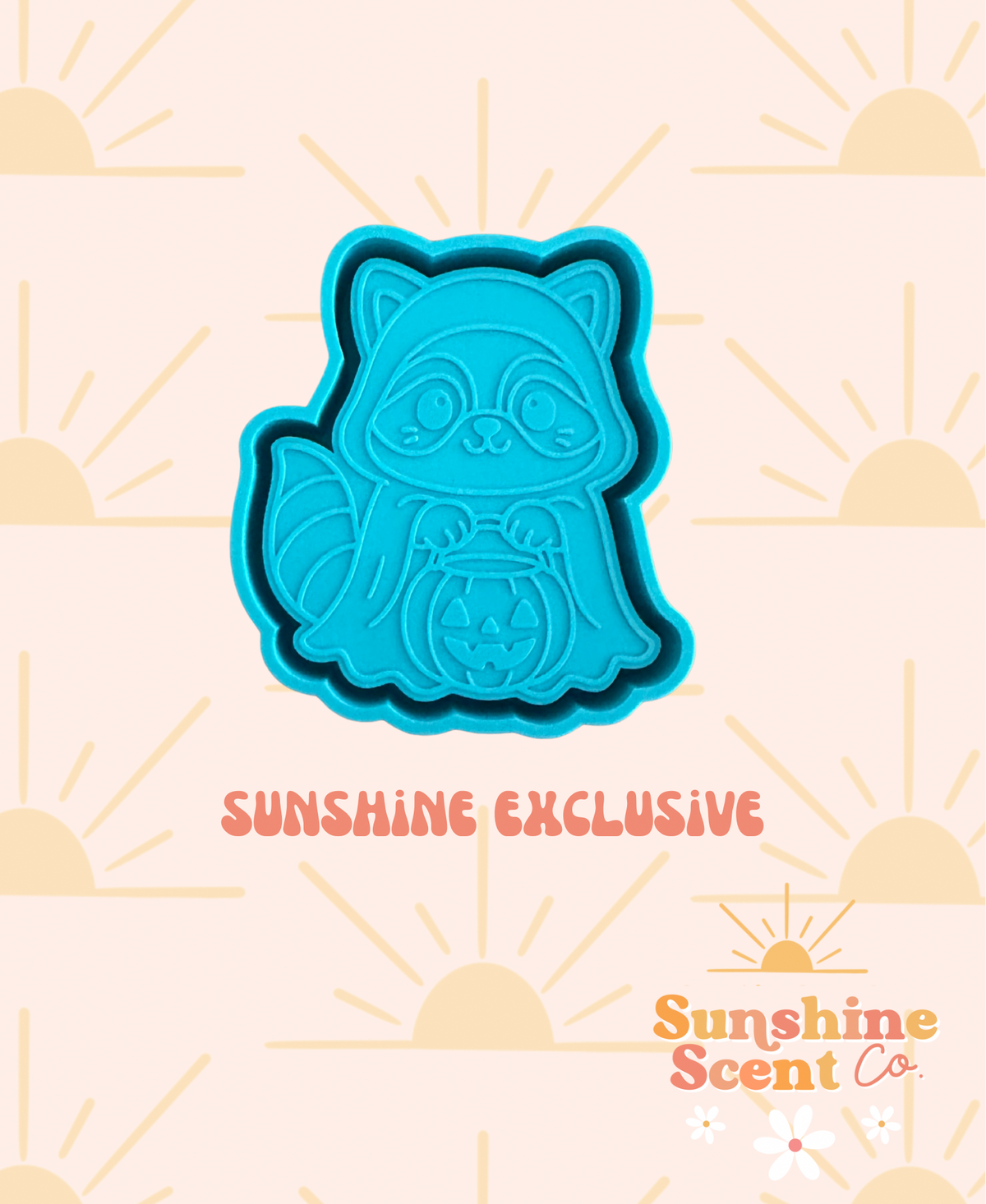 Fall Racoon Freshie Raccoon Ghost Freshie Mold – Sunshine Scent Company