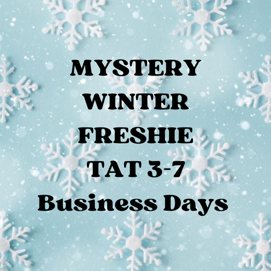 MYSTERY Winter Themed Car Freshie!! TAT 3-7 Business Days